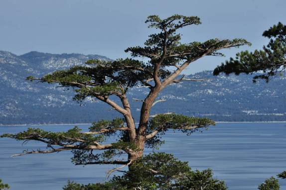 Lake Tahoe, na Califórnia, nos Estados Unidos
